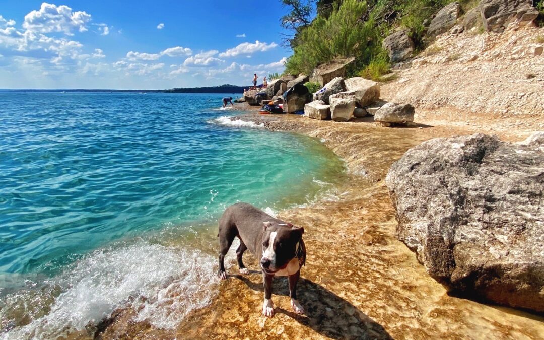 Exploring Canyon Lake